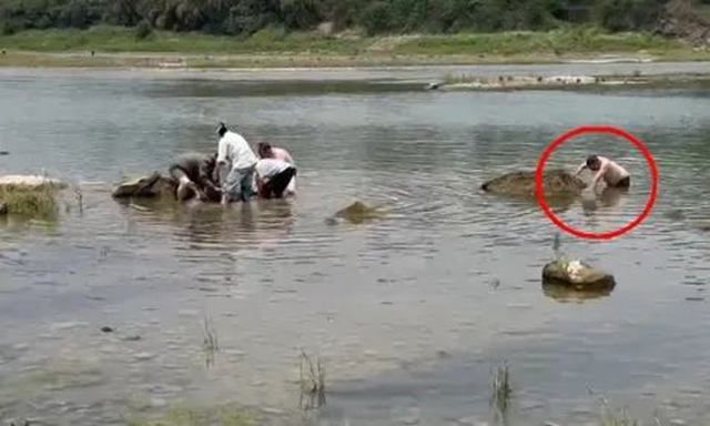 母子雙雙落水，瀘州市民周登位兩次躍入江中成功救人