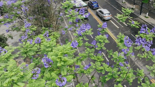 ２.gif