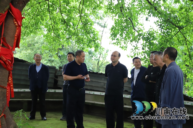 參觀古樹(shù)（曾佐然攝）.jpg
