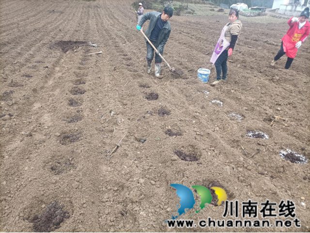 蜂蜜瀏覽器_3.jpg