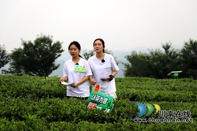 現(xiàn)場(chǎng)直播帶茶（陳清攝）.jpg