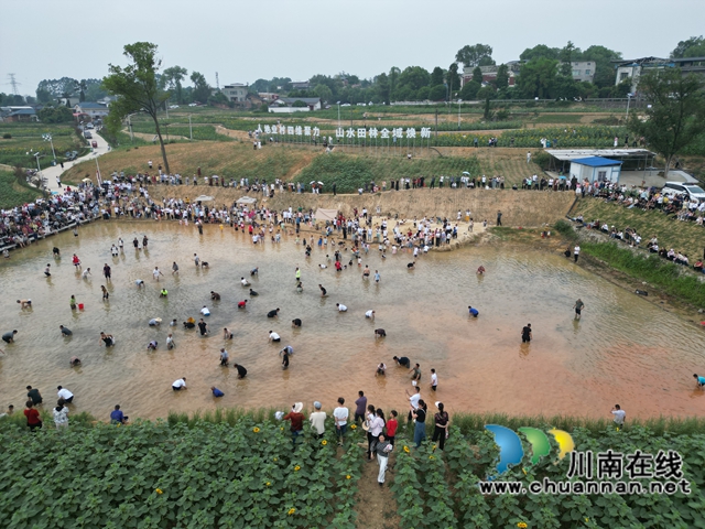 牛灘鎮(zhèn)新林村捕魚（李桂漣攝）.jpg