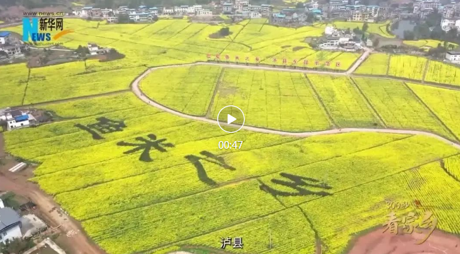 QQ瀏覽器截圖20250605101939.png