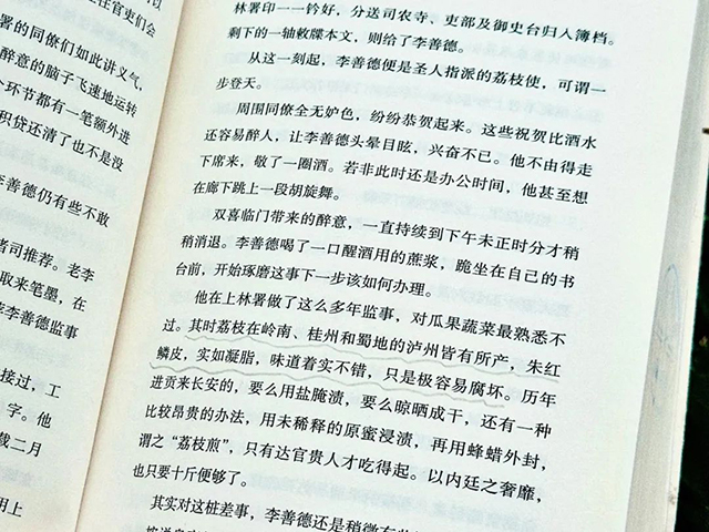 《長安的荔枝》即將開播，里面藏著瀘州的荔香