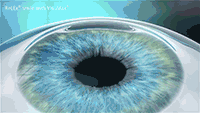 3.gif