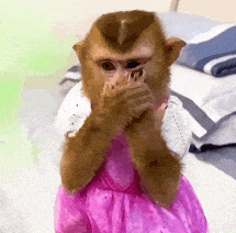 9.gif