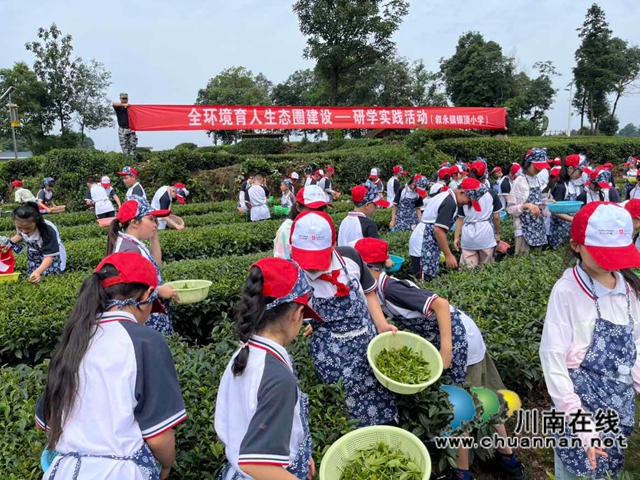 敘永銀頂小學(xué)開(kāi)展“茶韻稻香伴夏行?童心研學(xué)樂(lè)無(wú)邊”全環(huán)境育人研學(xué)實(shí)踐活動(dòng)