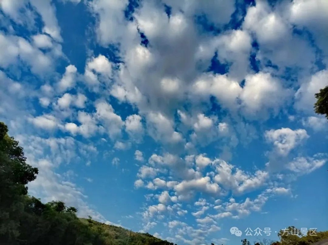 64001.jpg
