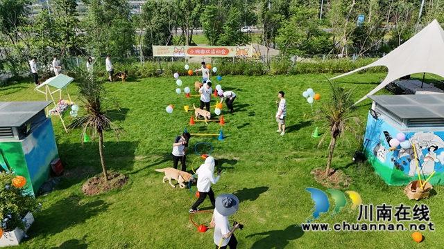 小狗撒歡運(yùn)動會現(xiàn)場全景。.JPG