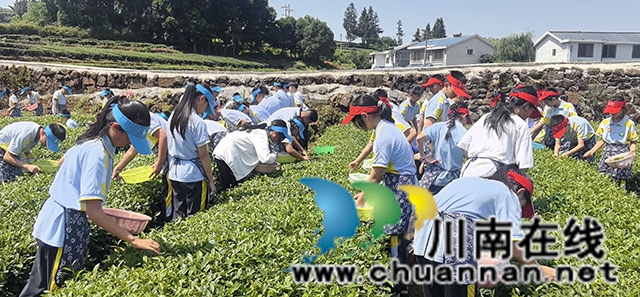 敘永鎮(zhèn)東大街小學(xué)開展“茶山拾趣探茶韻 研學(xué)之行助成長”主題研學(xué)活動