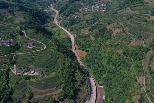 路2.jpg