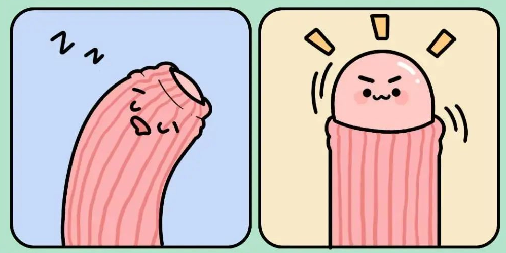19.png