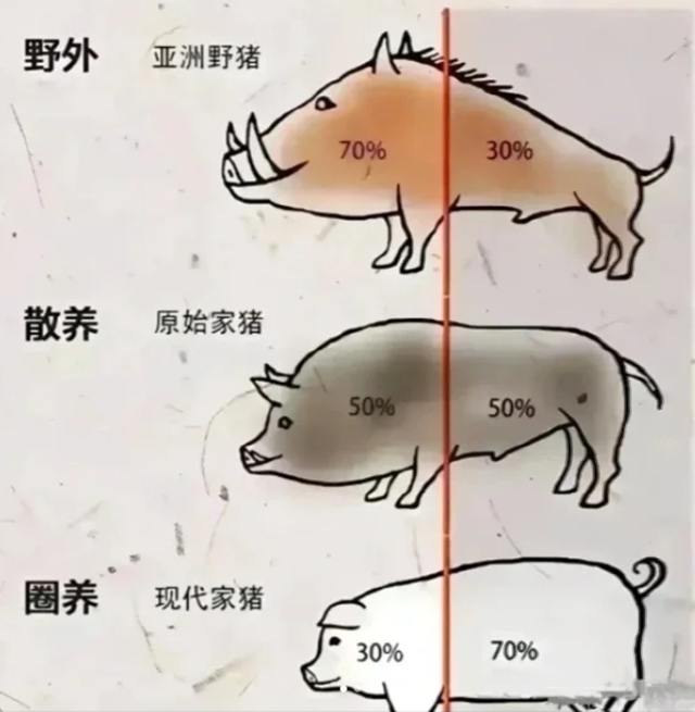 合江縣中醫(yī)醫(yī)院建院40周年·科普 | 經(jīng)常運(yùn)動(dòng)和不運(yùn)動(dòng)的人，有啥區(qū)別？