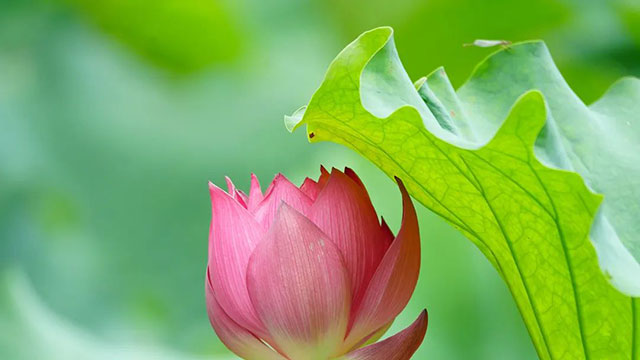 【圍觀】節(jié)約得很，有空調(diào)不開(kāi)，這下遭得慘……
