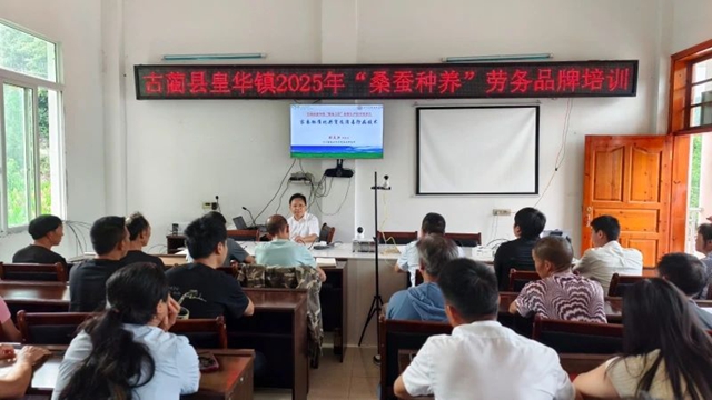 林2.jpg