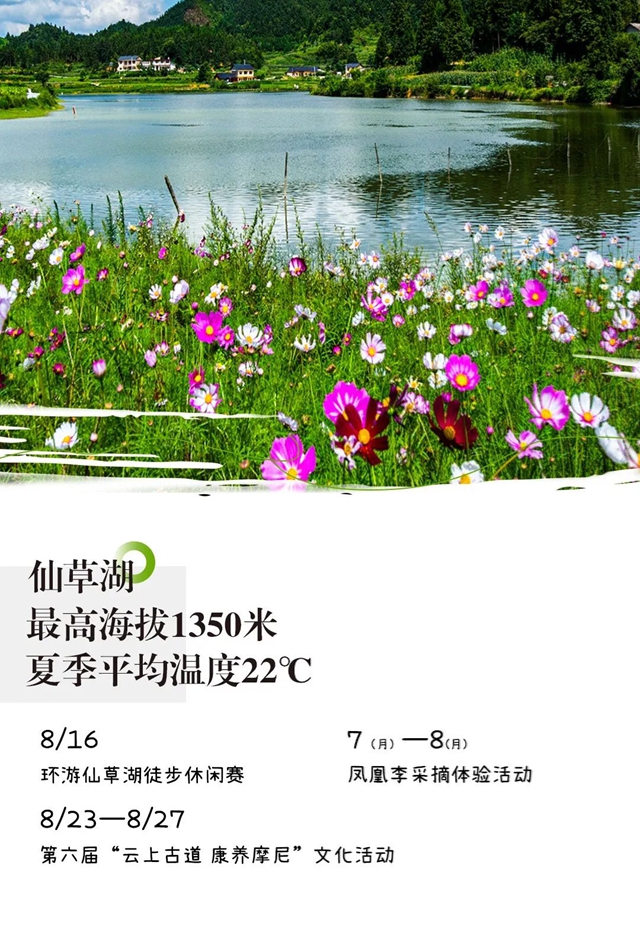 清涼感拉滿，一腳踩進(jìn)敘永仙草湖的夏天