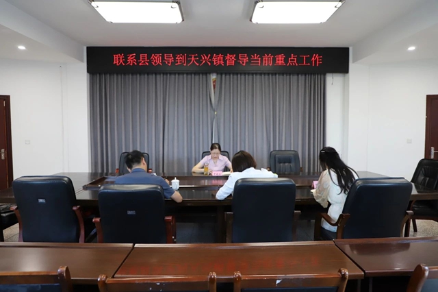 瀘縣人大常委會(huì)副主任羅曉玲率隊(duì)到天興鎮(zhèn)督導(dǎo)當(dāng)前重點(diǎn)工作