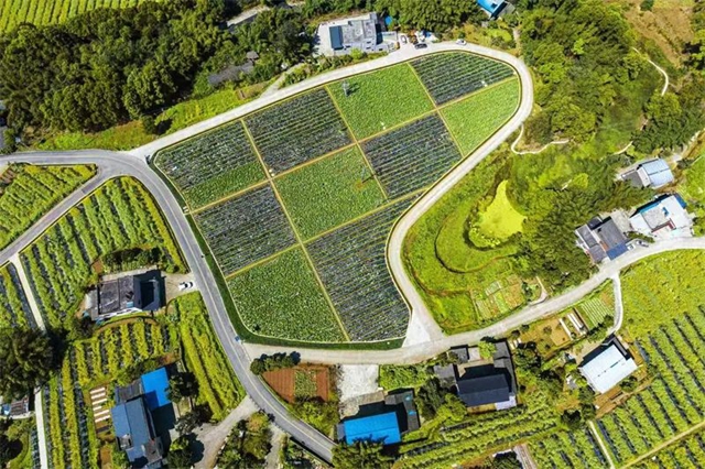 納溪文旅融合新場景項目擬獲省上支持，瀘州僅2個
