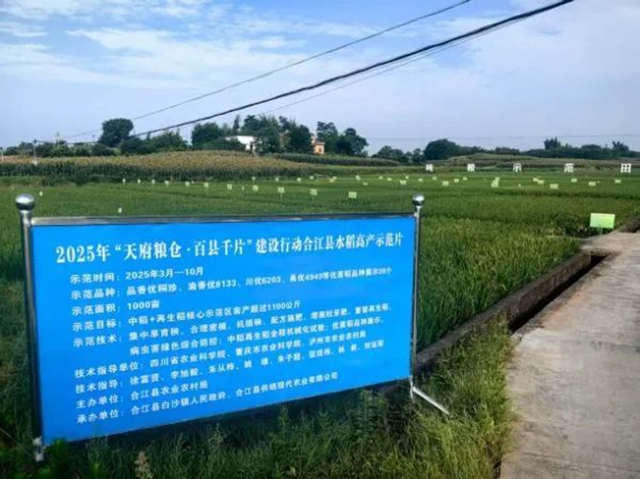 農(nóng)2.jpg