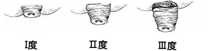 拉4.jpg