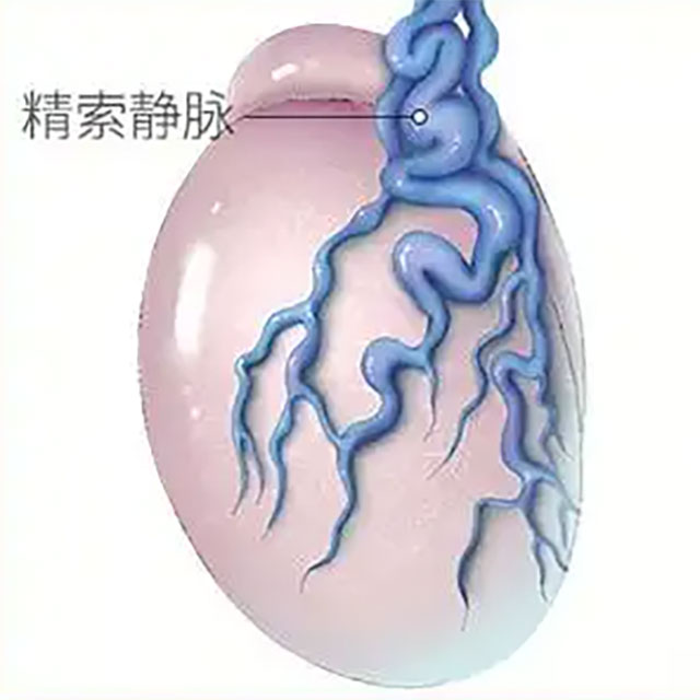 【關(guān)注】“蛋蛋”的憂傷，小伙私處青筋暴起……