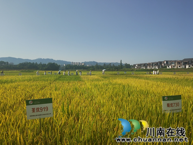 現(xiàn)場參觀觀摩（曾佐然攝）.jpg