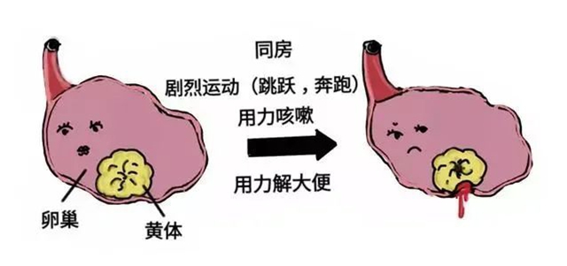 黃4.jpg