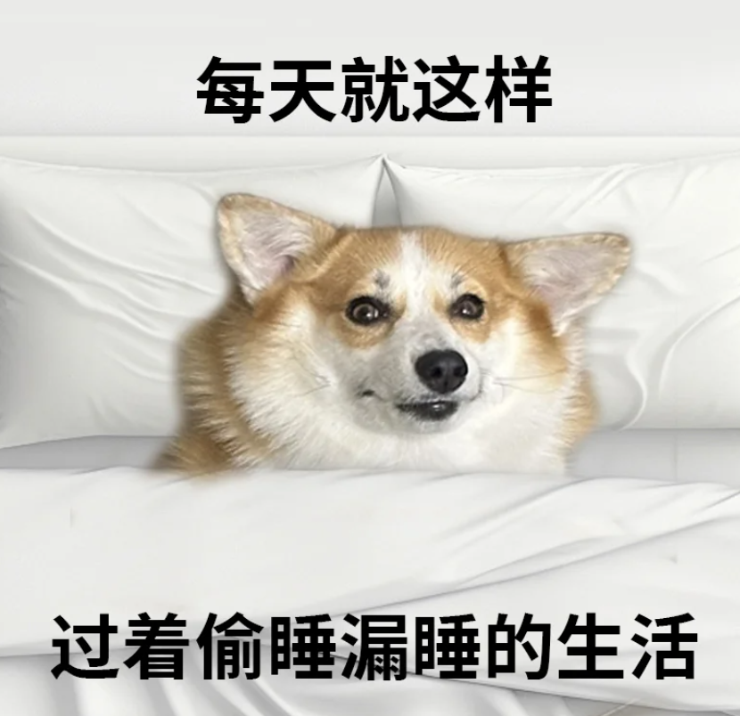 8.png
