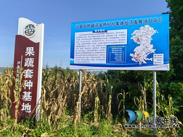 洪安橋村村集體經(jīng)濟(jì)發(fā)展項(xiàng)目（曾佐然攝）.jpg