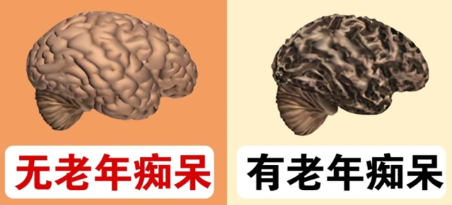 老2.jpg