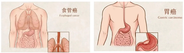 信號2.jpg