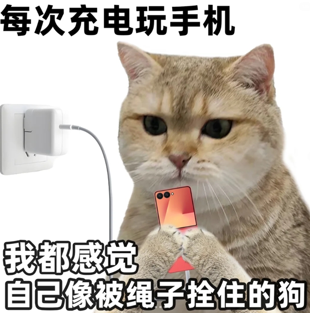 ４.jpg