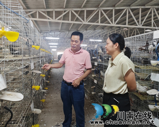 走訪組在瀘縣福集鎮(zhèn)鴿多多養(yǎng)鴿家庭農(nóng)場開展調(diào)研1.jpg