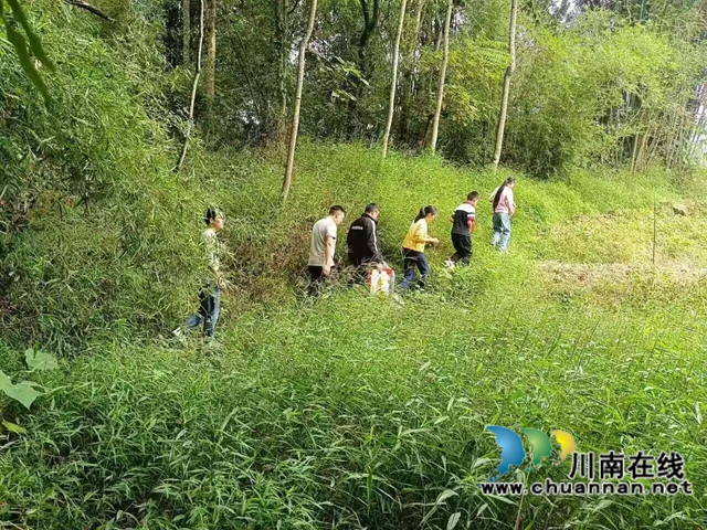 青山育桃李堅(jiān)守丹心一片，黑板寫春秋傳揚(yáng)薪火千年一一評(píng)合江融媒推出的向山而行的“點(diǎn)燈人”