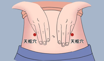 營(yíng)養(yǎng)4.png