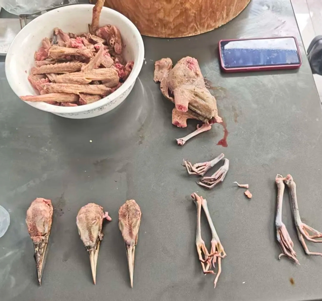 震驚！自貢一茶府廚房屠宰野生動物，背后“元兇”被捉！