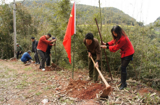 天仙鎮(zhèn)黨員爭做“創(chuàng)先爭優(yōu)”先鋒(圖1)