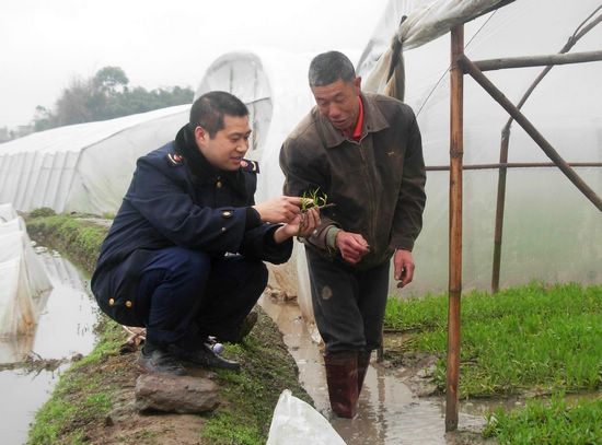 榕山鎮(zhèn)消委會現(xiàn)場解決農(nóng)戶種苗農(nóng)藥藥害糾紛(圖1)