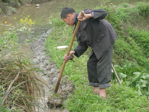 打古鎮(zhèn)：氣溫回升 農(nóng)民春耕忙(圖2)