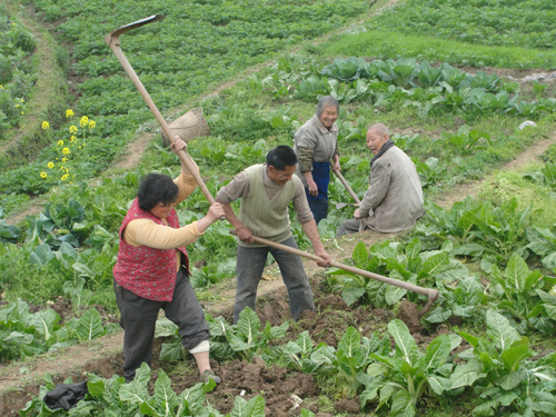 打古鎮(zhèn)：氣溫回升 農(nóng)民春耕忙