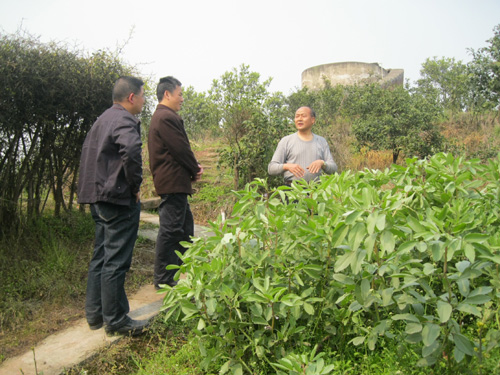 方洞鎮(zhèn)：傾力打造農(nóng)家樂休閑基地(圖1)