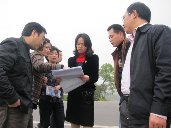 龍馬潭區(qū)委副書記徐利調研走馬村核心區(qū)村莊建設(圖1)