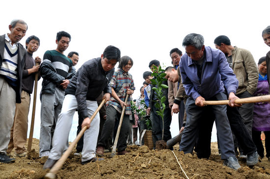 水潦鄉(xiāng)：25萬株甜橙圓了彝民致富夢(mèng)(圖2)
