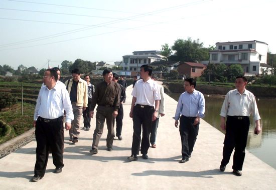 瀘州市政協(xié)調(diào)研考察合江新農(nóng)村示范片推進工作(圖1)