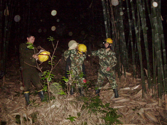女子失足墜崖 合江消防官兵迅速營(yíng)救(圖3)