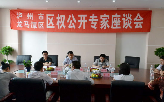 龍馬潭區(qū)召開區(qū)權公開專家座談會尋求智力支持(圖1)