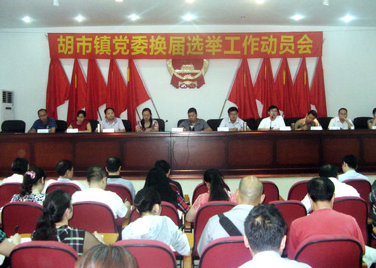 胡市鎮(zhèn)“四個到位”做好黨委換屆工作(圖1)