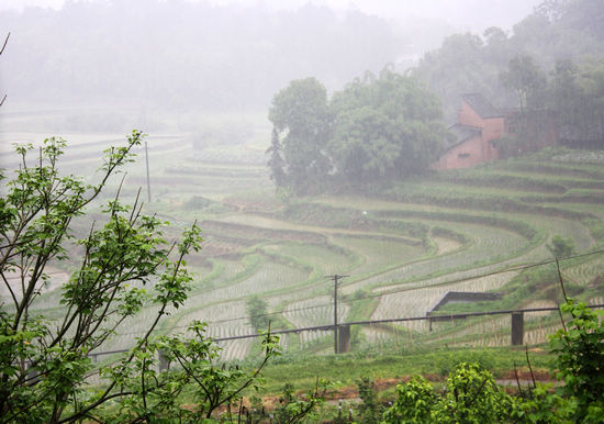 納溪區(qū)：人工增雨助春耕 效果好群眾喜