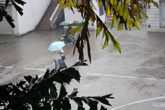 納溪區(qū)：人工增雨助春耕 效果好群眾喜(圖1)