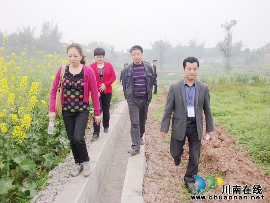 瀘州市農(nóng)發(fā)辦主任郭禹一行深入通灘鎮(zhèn)指導農(nóng)綜項目(圖1)